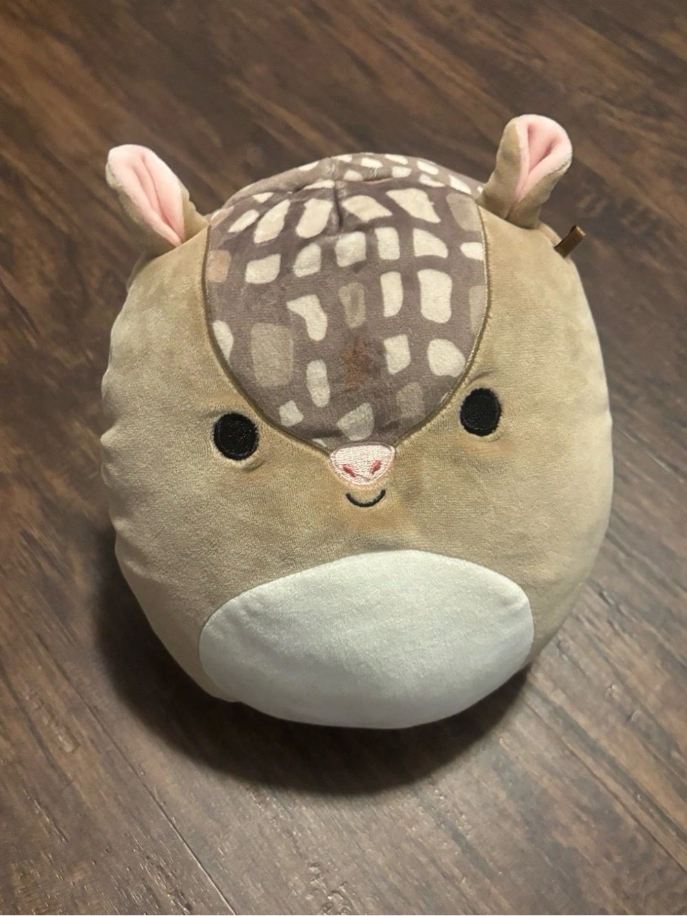 Squishmallows Original Kelly Toys Thompson The Armadillo Plush Animal 8”